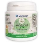 Suppléments alimentaires - Angélique PlantesBio
