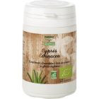 Suppléments alimentaires - Cyprès & echinacea PlantesBio