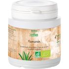 Romarin PlantesBio