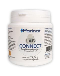 L.A.B Connect