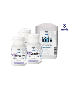 Fonction thyroïdienne normale