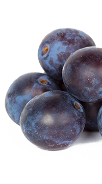 Conseils en micronutrition - Bienfaits de la prune