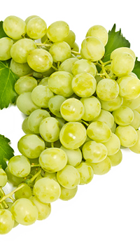 Conseils en micronutrition - Bienfaits du raisin blanc