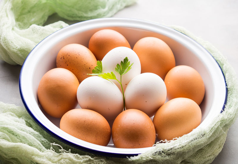 L’œuf : un aliment santé de référence entre symbole et protéines