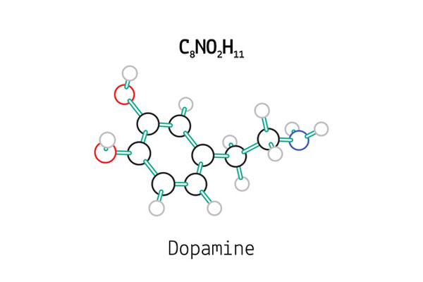 Zoom sur la Dopamine hormone de la vitalité - Conseils Parinat