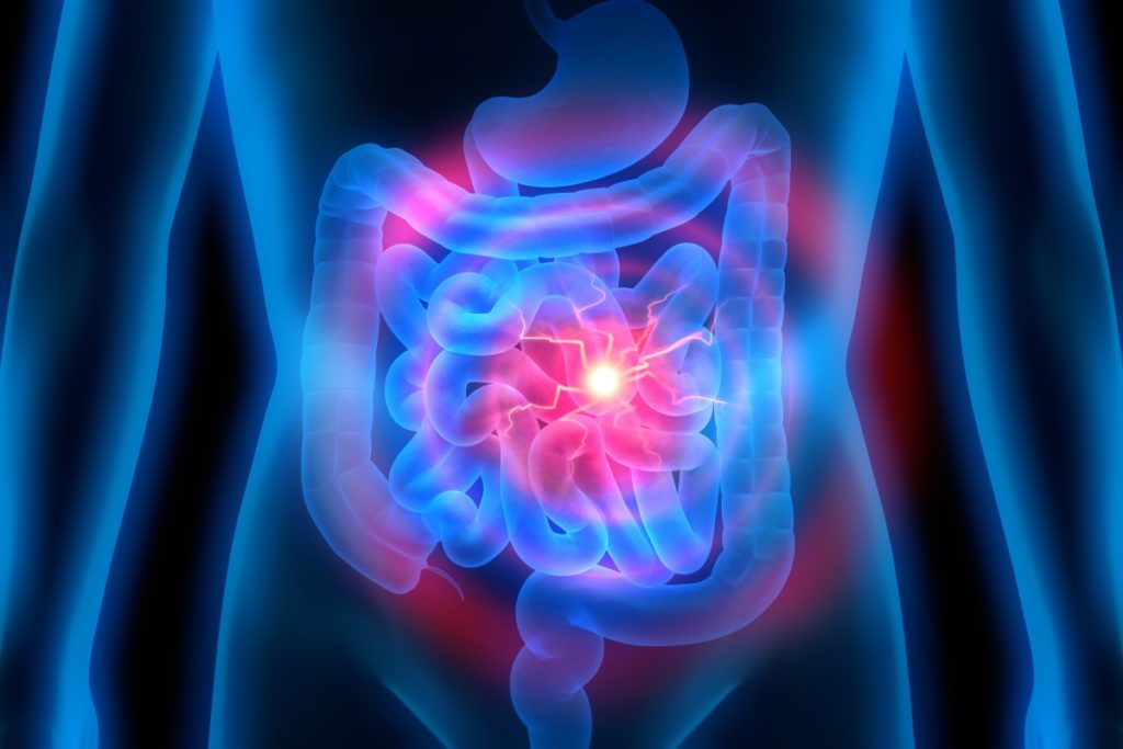 La définition du microbiote intestinal