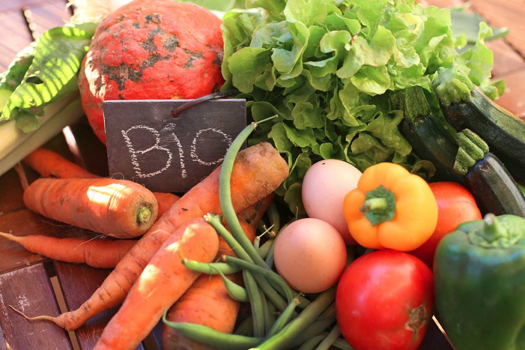 Une alimentation de filière biologique est idéal pour la période post-partum